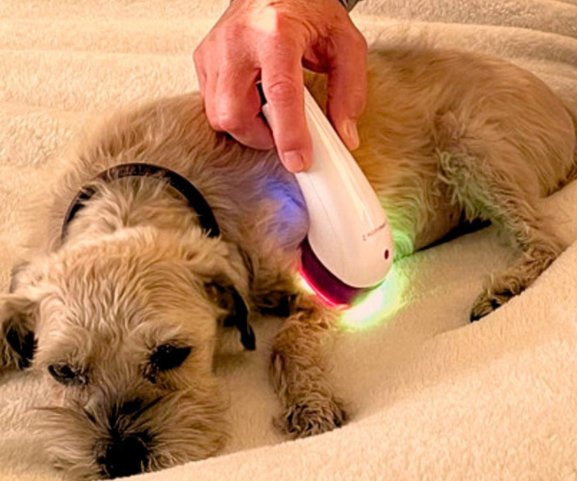 LumaSoothe Dog Light Therapy Device - Handheld LED Therapy for Pain Relief, Inflammation Reduction & Skin Healing