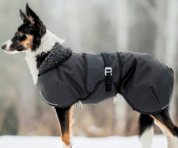 Hundlands Arctic Wool Dog Jacket - Extra Warm Merino Wool Coat to Keep Your Dog Warm In Cold Temperatures