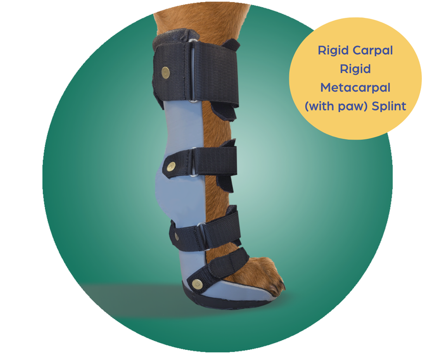 Scandi Orthopedic Dog Carpal Front Splint - Grade 4 (rigid) - Fully Customised