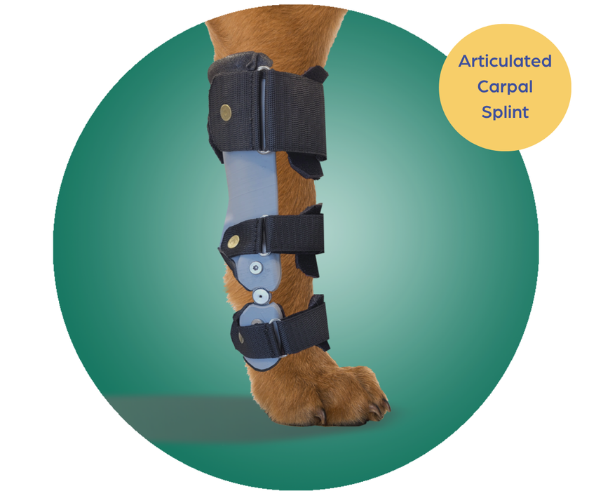 Scandi Orthopedic Dog Carpal Front Splint - Grade 4 (rigid) - Fully Customised