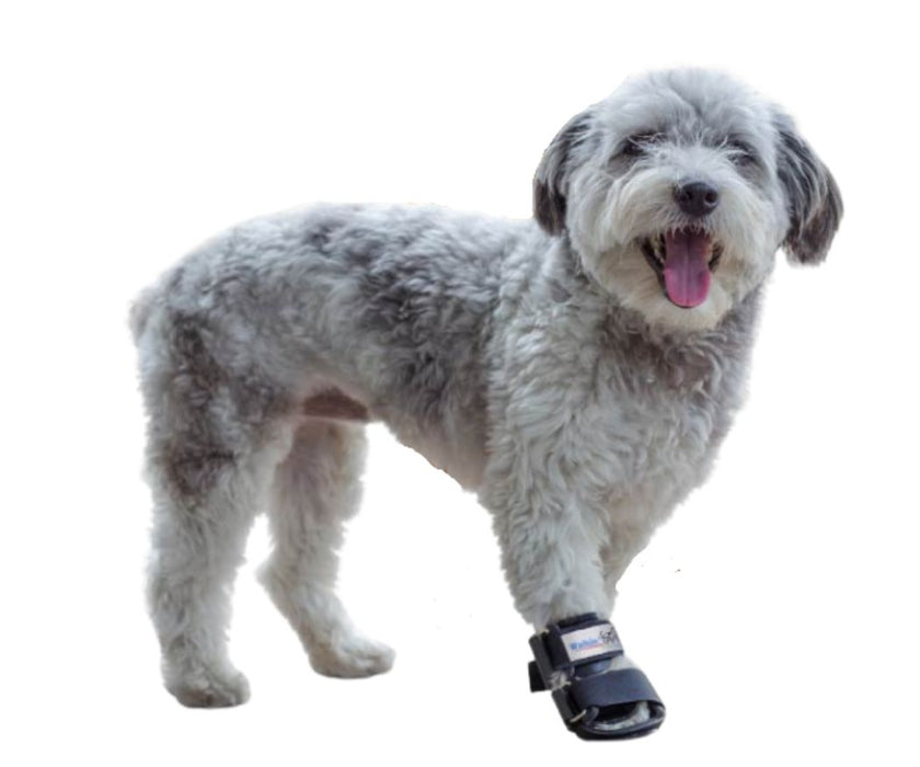 Walkin’ Bootie Dog Splint (firm)