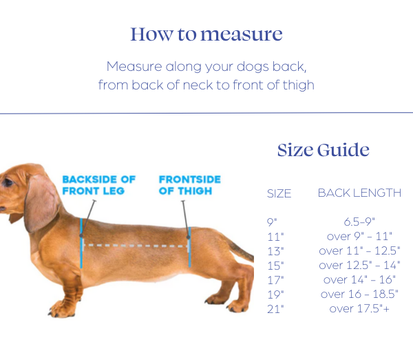 WiggleLess Back Brace Dog Back Brace firm support ZOOMADOG