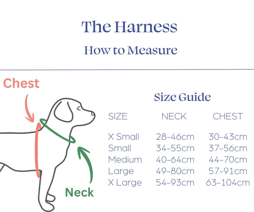 Zoomadog Happy Hips Dog Brace - Excellent for Hip Dysplasia & Hip Weakness