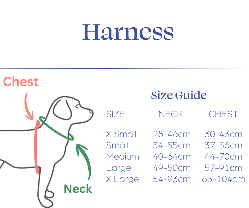 Dog Hip Dysplasia Brace by Zoomadog - Excellent for Hip Dysplasia & Hip Weakness