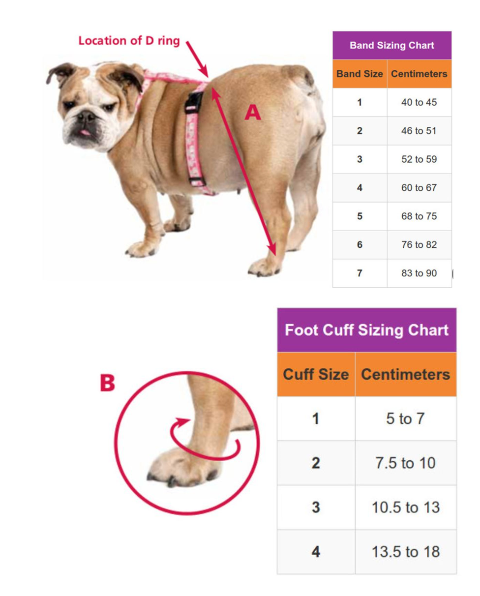 Biko brace for deals dogs