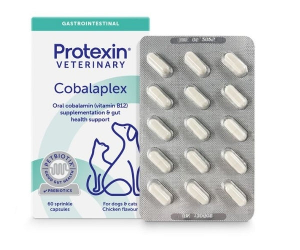 Protexin Cobalaplex Capsules for Dogs - Vitamin B12 & B9 Support 60 Capsules