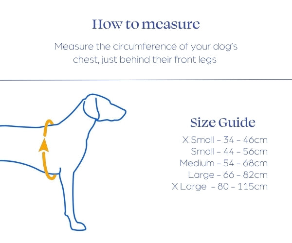 Dog Copenhagen Comfort Walk Pro Dog Harness - Strong & Durable Everyday Harness With Breathable Padding