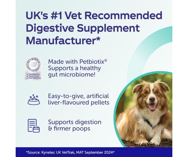 Protexin Pro-Fibre Advanced for Dogs - High Fibre Digestive Support - 500g Tub Pellets