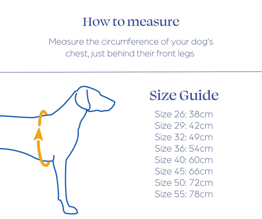 Hundlands Hybrido Wool Dog Jacket - Merino Wool Coat to Keep Your Dog's Joints & Muscles Warm