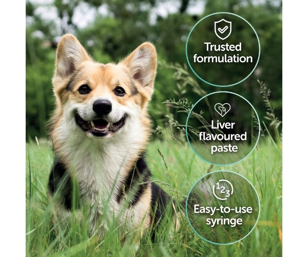 Protexin Pro‑Kolin Advanced Paste - Gastrointestinal Support for Dogs 15ml, 30ml, 60ml