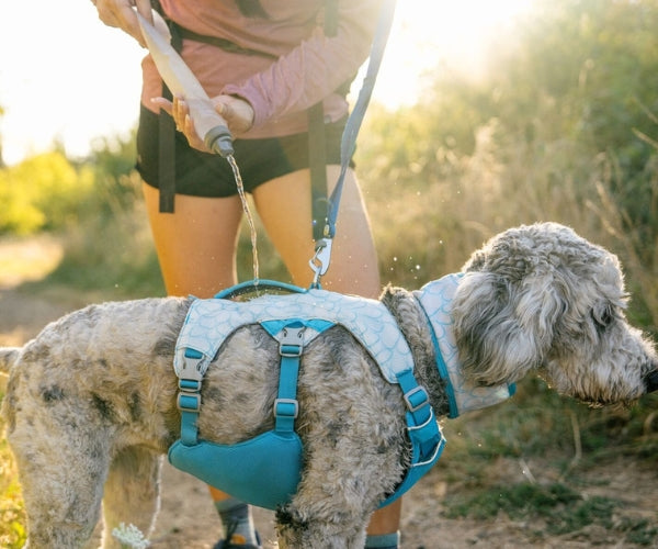 Ruffwear Swamp Cooler Dog Harness - All-In-One Cooling Solution for Hot Conditions