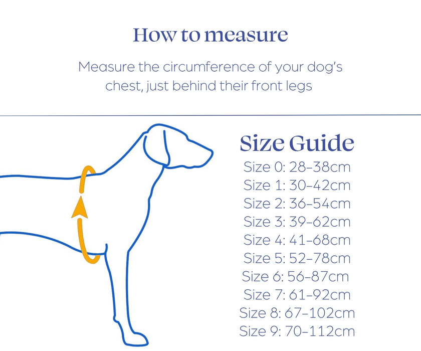 Non-Stop Dogwear Line Harness 5.0 for Dogs - Comfortable Ergonomic Support & Freedom of Movement