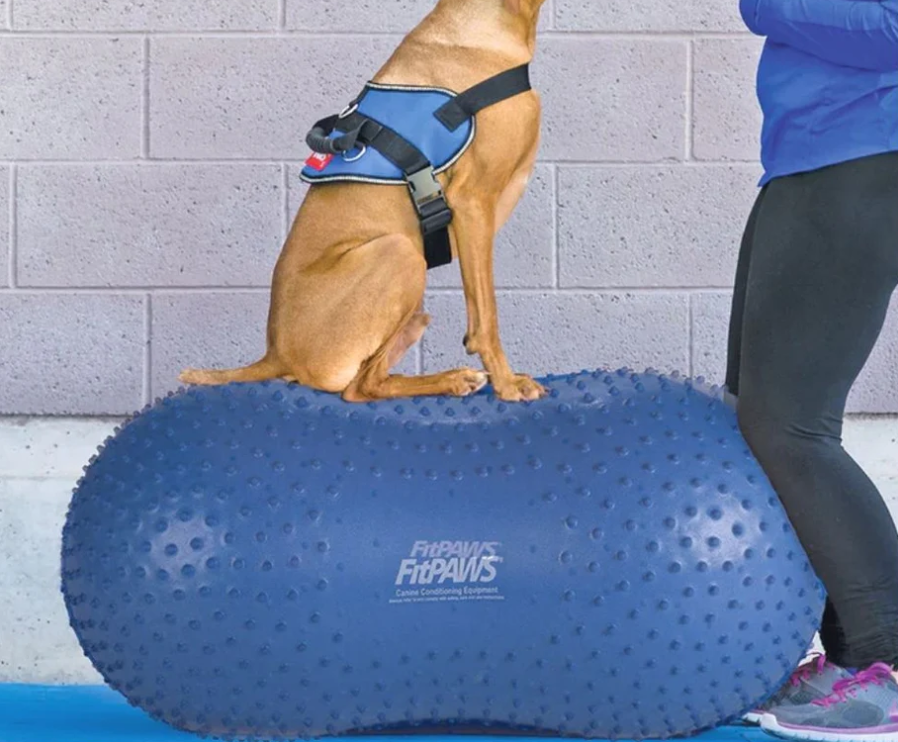 FitPaws Peanut