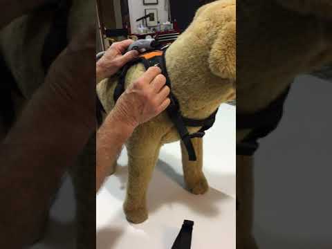 Anti Rotation Disc Help Em Up Anti Rotation Device - For Three Legged Dogs — ZOOMADOG