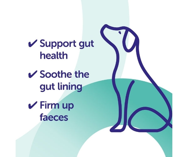 Protexin Pro‑Kolin Advanced Paste - Gastrointestinal Support for Dogs 15ml, 30ml, 60ml