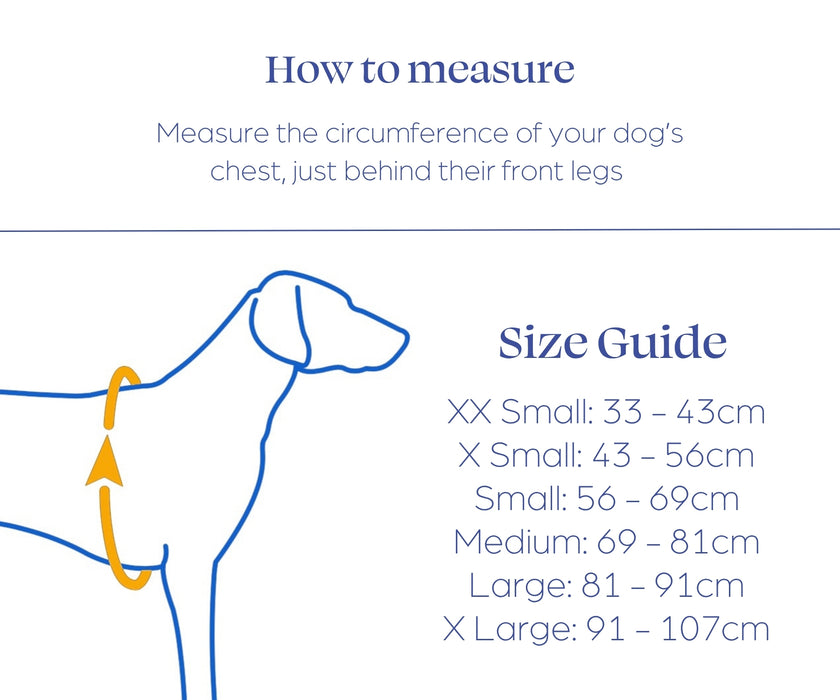 Ruffwear Confluence Life Jacket for Dogs - Premium Harness-Style Life Jacket for Swimming & Water Sports