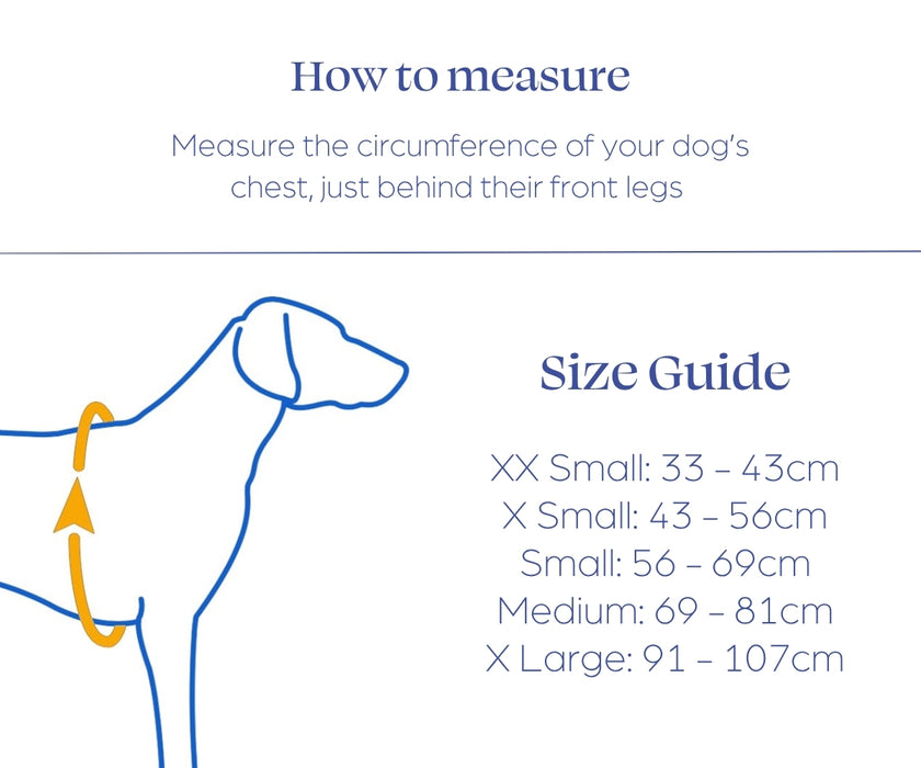 Ruffwear Swamp Cooler Dog Harness - All-In-One Cooling Solution for Hot Conditions