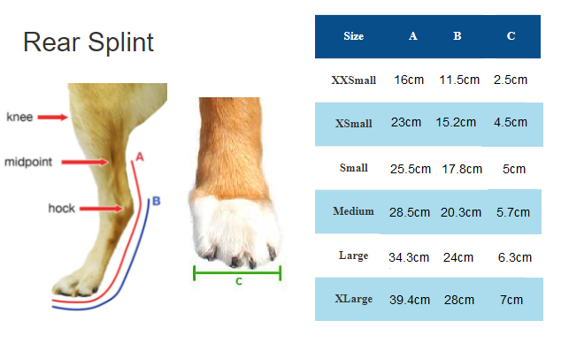 Measure Rear Splint