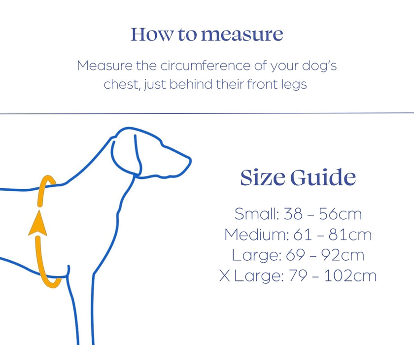 Blue-9 Balance Dog Harness - Totally Adjustable Everyday Harness Great For Dogs of All Shapes & Sizes