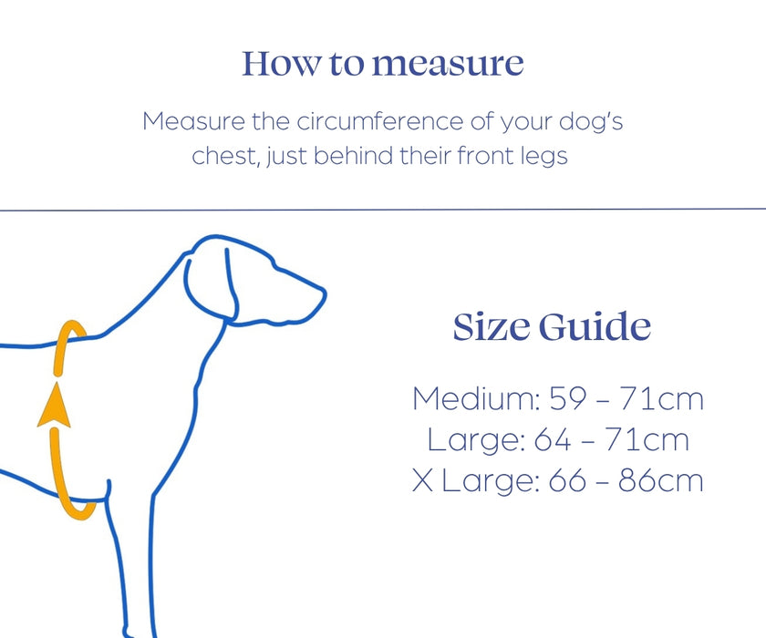 ZOOMA Full Body Lifting Dog Harness by Zoomadog - Lift & Support Your Dog Safely As They Age or Recover From Injury
