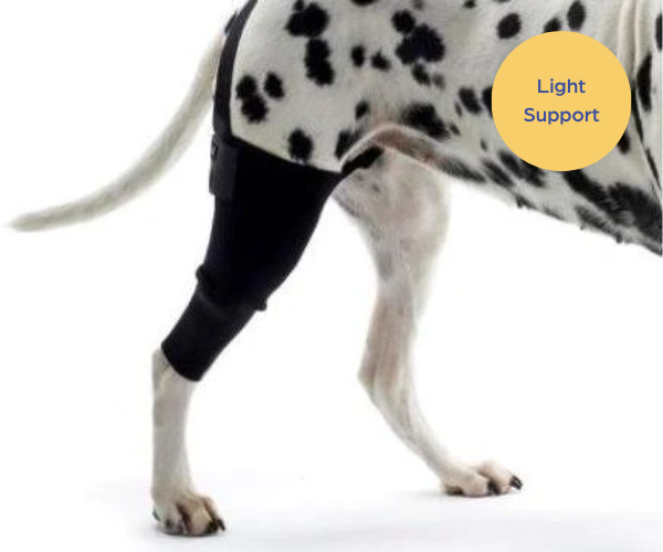 Double Dog Knee Brace - Cruciate Support & Pain Relief – Tailwindpets