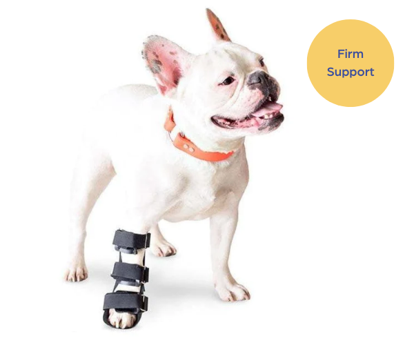 Walkin' Fit Adjustable Dog Splint | Pet Foot Splint Helps Brace Lower Front and Rear Leg Injuries | Custom Fit and Support for Your Dog