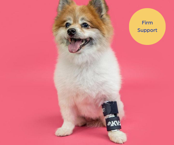 Balto® Bone - Fractured Dog Leg Bone Brace with Removable Splints (firm)