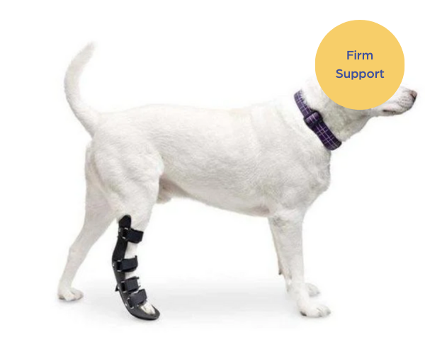 Walkin’ Full Dog Leg Splint (front or back leg)