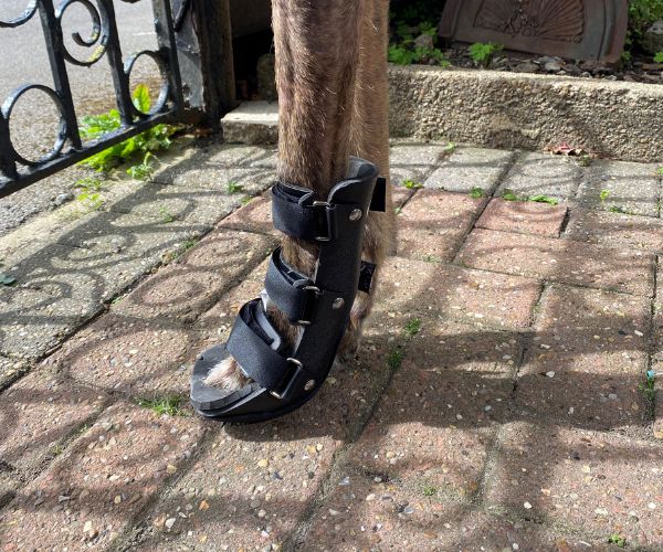 Walkin’ Full Dog Leg Splint (front or back leg)