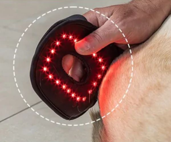 HEALED Pain Relief Wraps for Dogs - For Arthritis, Inflammation and Joints using Revolutionary LED