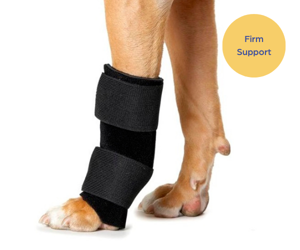 Therapaw Carpo Flex X Wrap for Dogs (firm) — ZOOMADOG