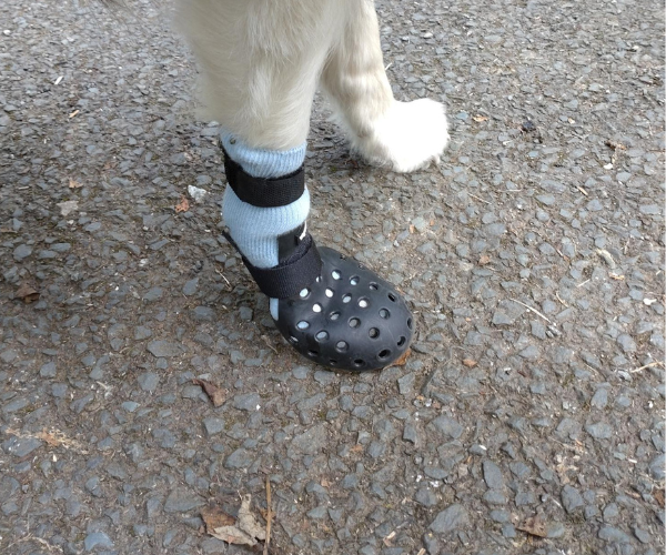 WagWear Mojave Breathable Rubber Dog Boots for Extra Grip Paw