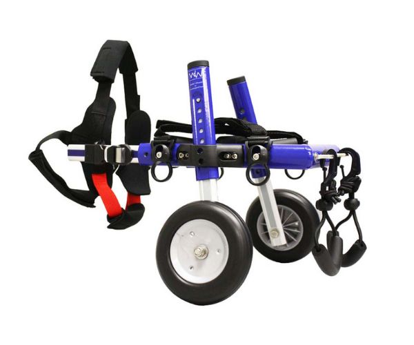 Pug Dog Wheelchair UK - Walkin Wheels