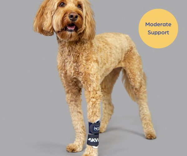 Balto® Joint Dog Carpal Compression Band - Moderate Support with Removable Splints