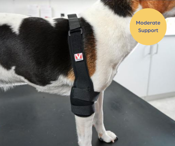 Kruuse Rehab Pro Dog Elbow Protector (moderate)