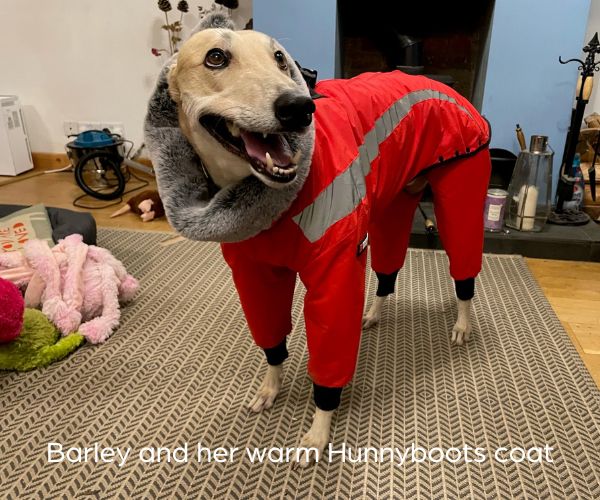 Hunnyboots - 'The Coat' in Red