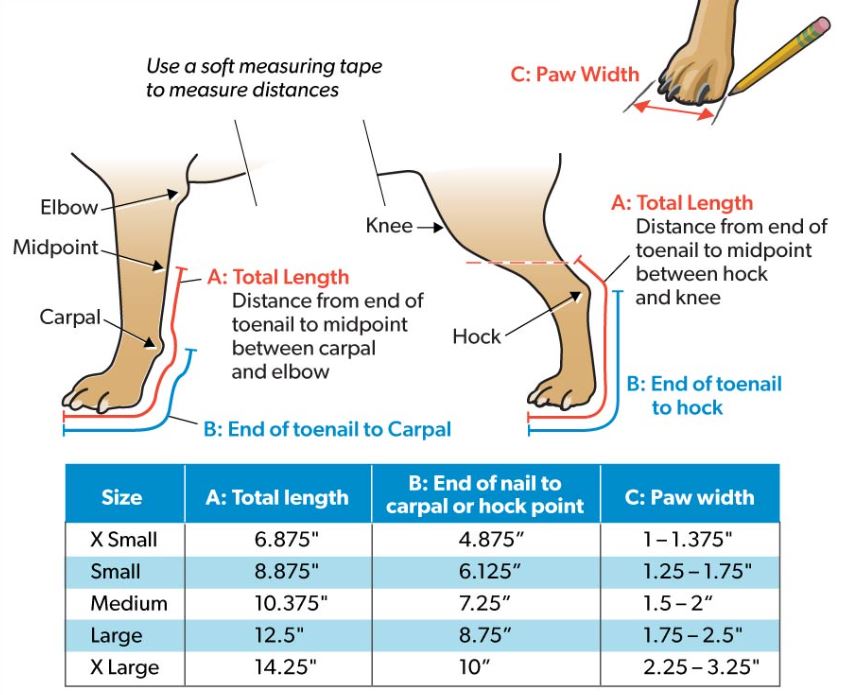 Walkin' Full Adjustable Dog Splint - Front or Back Leg (firm)