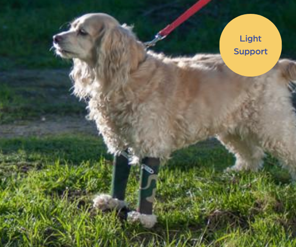 Walkabout Compression Sleeve for Front or Back Dog Legs black