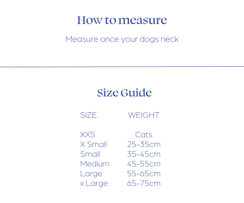 Balto® Neck - Rigid Dog Neck Brace