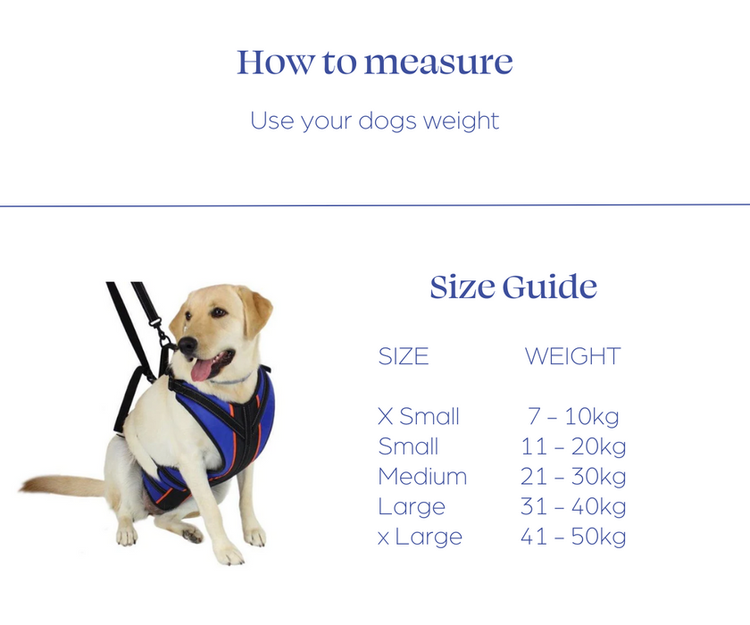 Walkin’ Support RX - Total Body Support for Dogs
