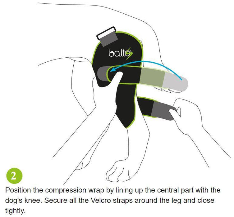 Balto® Agile Knee Compression Dog Wrap for Sport Activities - ZOOMADOG