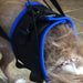 Walkabout Front Amputee Dog Harness - ZOOMADOG