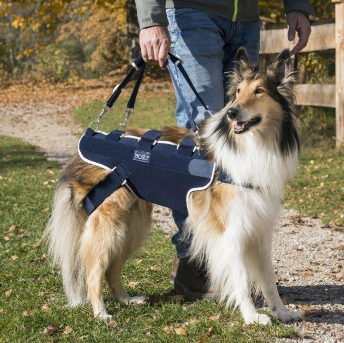 Balto® Body Lift - Dog Body Harness with Handles - ZOOMADOG