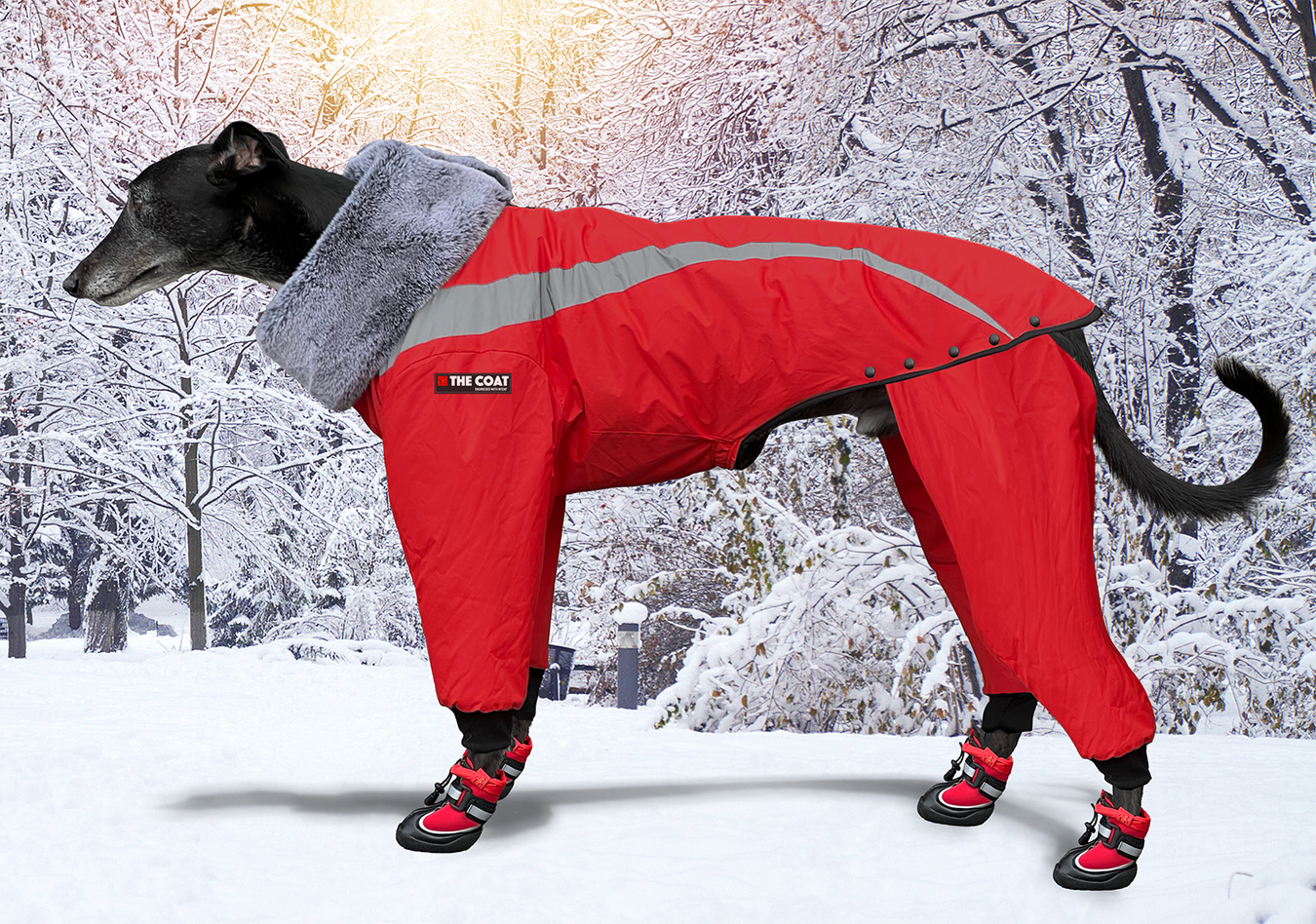 Best Dog Coats & Jackets - Keep Your Dog's Muscles & Joints Warm During The Winter Months