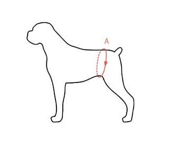 Walkin' Lift Combo Dog Harness - Front & Rear - ZOOMADOG