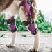 Custom Made Dog Knee Brace - ZOOMADOG