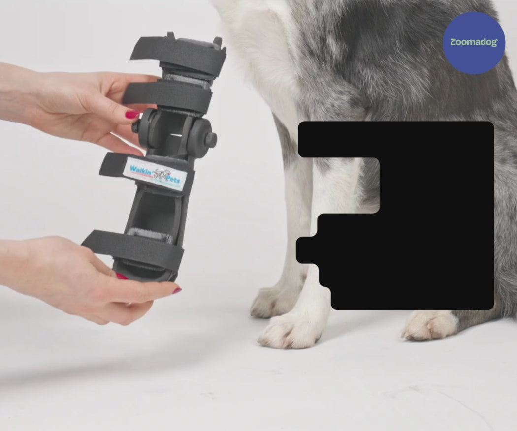 Best Rear Leg Dog Supports, Wraps & Splints — ZOOMADOG