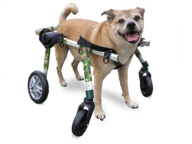 Front Wheelchair - Dog Walkin' Wheelchair - ZOOMADOG