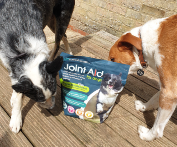 Joint Aid for Dogs by GWF Nutrition (tiny pellets)