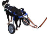 Wheelchair Dog Lead - ZOOMADOG